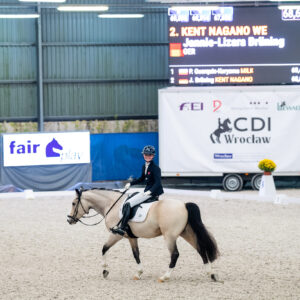 CDI Wroclaw 2023 - autumn