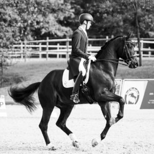 CDI Troisdorf 2023 - autumn