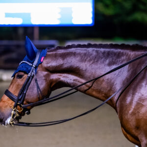 CDI Troisdorf 2023 - autumn