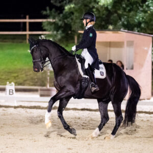 CDI Troisdorf 2023 - autumn