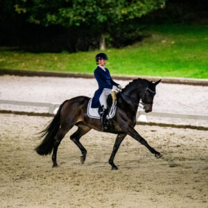 CDI Troisdorf 2023 - autumn