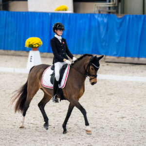 CDI Wroclaw 2023 - autumn