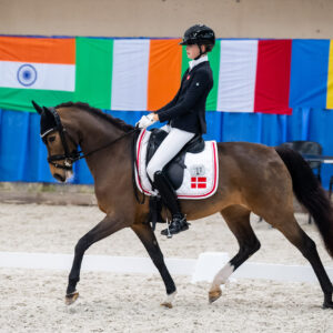 CDI Wroclaw 2023 - autumn