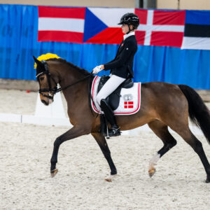 CDI Wroclaw 2023 - autumn