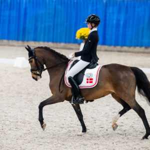 CDI Wroclaw 2023 - autumn