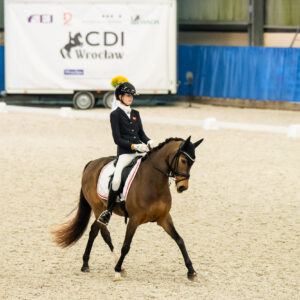 CDI Wroclaw 2023 - autumn