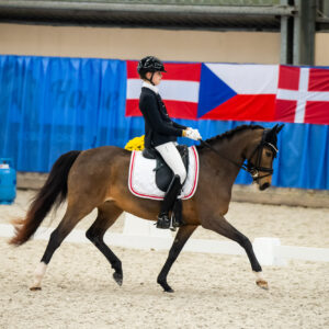 CDI Wroclaw 2023 - autumn