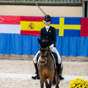 CDI Wroclaw 2023 - autumn