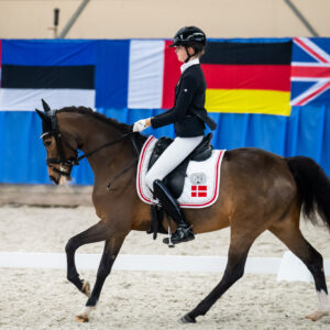 CDI Wroclaw 2023 - autumn