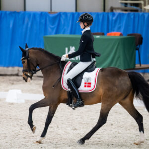 CDI Wroclaw 2023 - autumn
