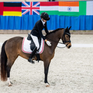 CDI Wroclaw 2023 - autumn