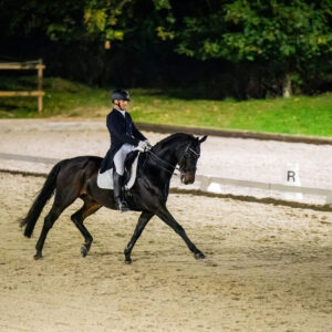 CDI Troisdorf 2023 - autumn