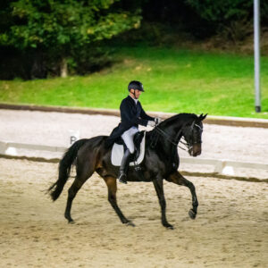 CDI Troisdorf 2023 - autumn