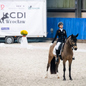 CDI Wroclaw 2023 - autumn