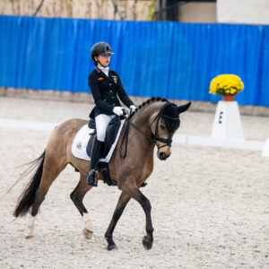 CDI Wroclaw 2023 - autumn
