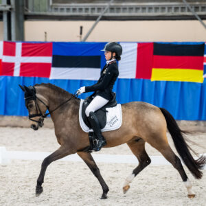 CDI Wroclaw 2023 - autumn