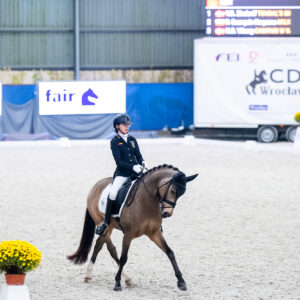 CDI Wroclaw 2023 - autumn