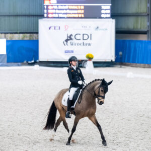 CDI Wroclaw 2023 - autumn