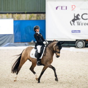 CDI Wroclaw 2023 - autumn