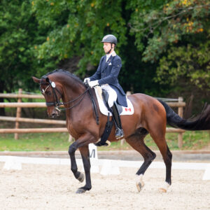 CDI Troisdorf 2023 - autumn