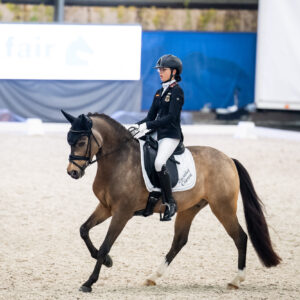 CDI Wroclaw 2023 - autumn