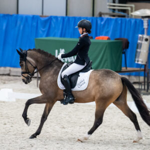 CDI Wroclaw 2023 - autumn