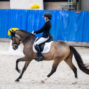 CDI Wroclaw 2023 - autumn