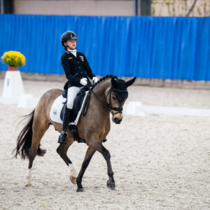 CDI Wroclaw 2023 - autumn