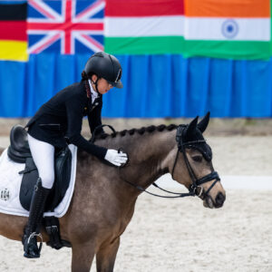 CDI Wroclaw 2023 - autumn
