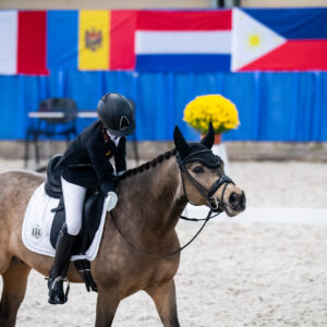CDI Wroclaw 2023 - autumn