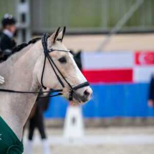 CDI Wroclaw 2023 - autumn