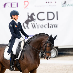 CDI Wroclaw 2023 - autumn