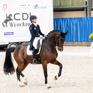 CDI Wroclaw 2023 - autumn