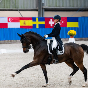 CDI Wroclaw 2023 - autumn