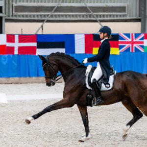CDI Wroclaw 2023 - autumn