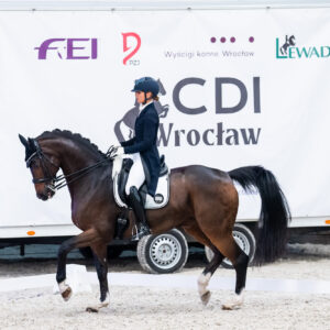 CDI Wroclaw 2023 - autumn