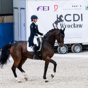 CDI Wroclaw 2023 - autumn