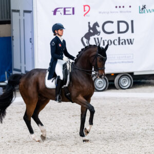CDI Wroclaw 2023 - autumn