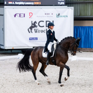 CDI Wroclaw 2023 - autumn