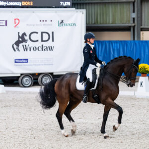 CDI Wroclaw 2023 - autumn
