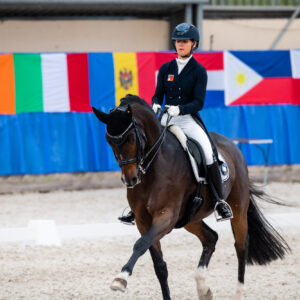 CDI Wroclaw 2023 - autumn