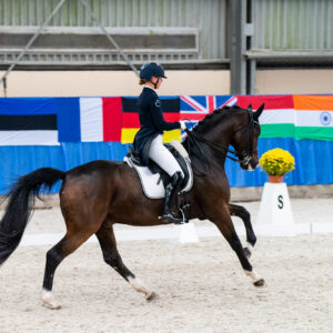 CDI Wroclaw 2023 - autumn