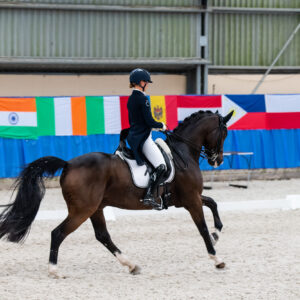 CDI Wroclaw 2023 - autumn