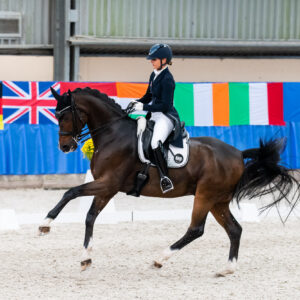 CDI Wroclaw 2023 - autumn
