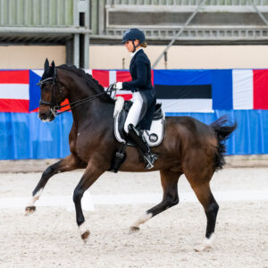 CDI Wroclaw 2023 - autumn
