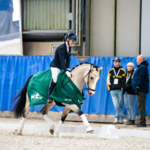 CDI Wroclaw 2023 - autumn