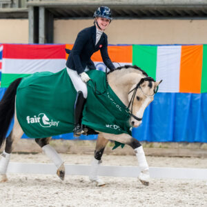 CDI Wroclaw 2023 - autumn