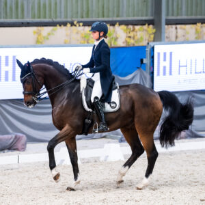 CDI Wroclaw 2023 - autumn