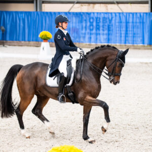 CDI Wroclaw 2023 - autumn