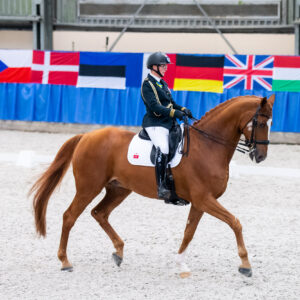 CDI Wroclaw 2023 - autumn